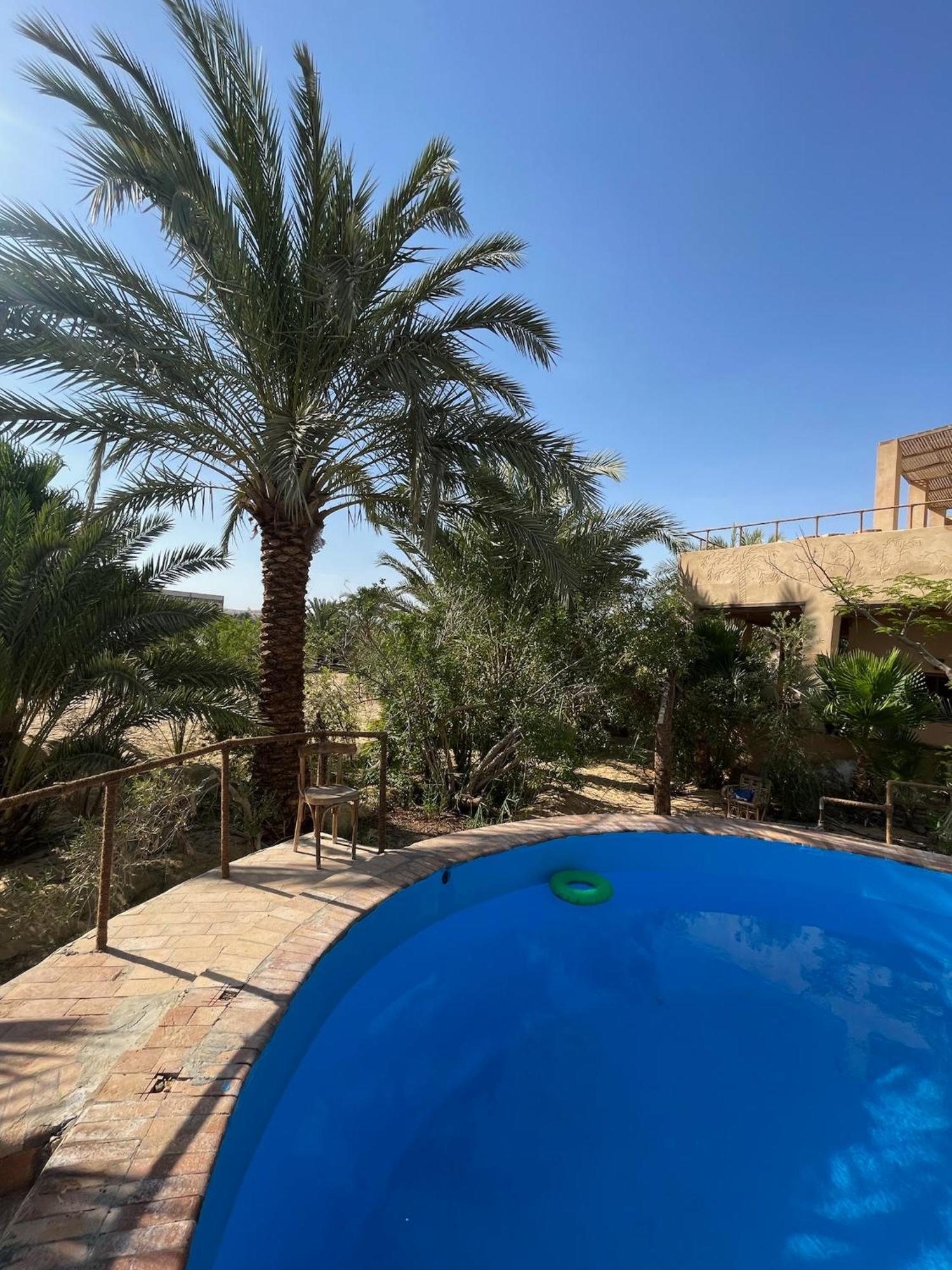 فندق The Nest Siwa Oasis المظهر الخارجي الصورة