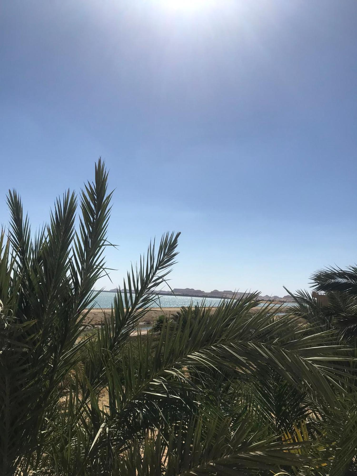 فندق The Nest Siwa Oasis المظهر الخارجي الصورة