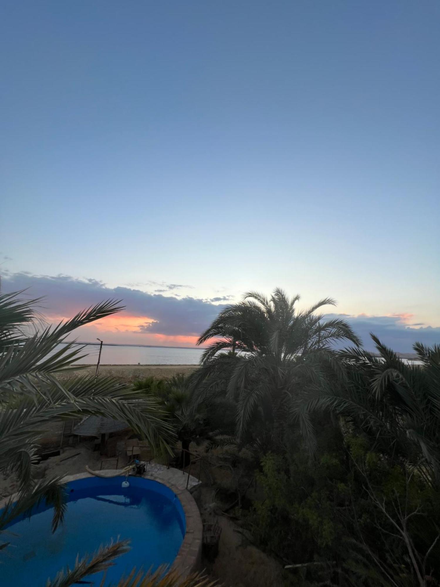 فندق The Nest Siwa Oasis المظهر الخارجي الصورة