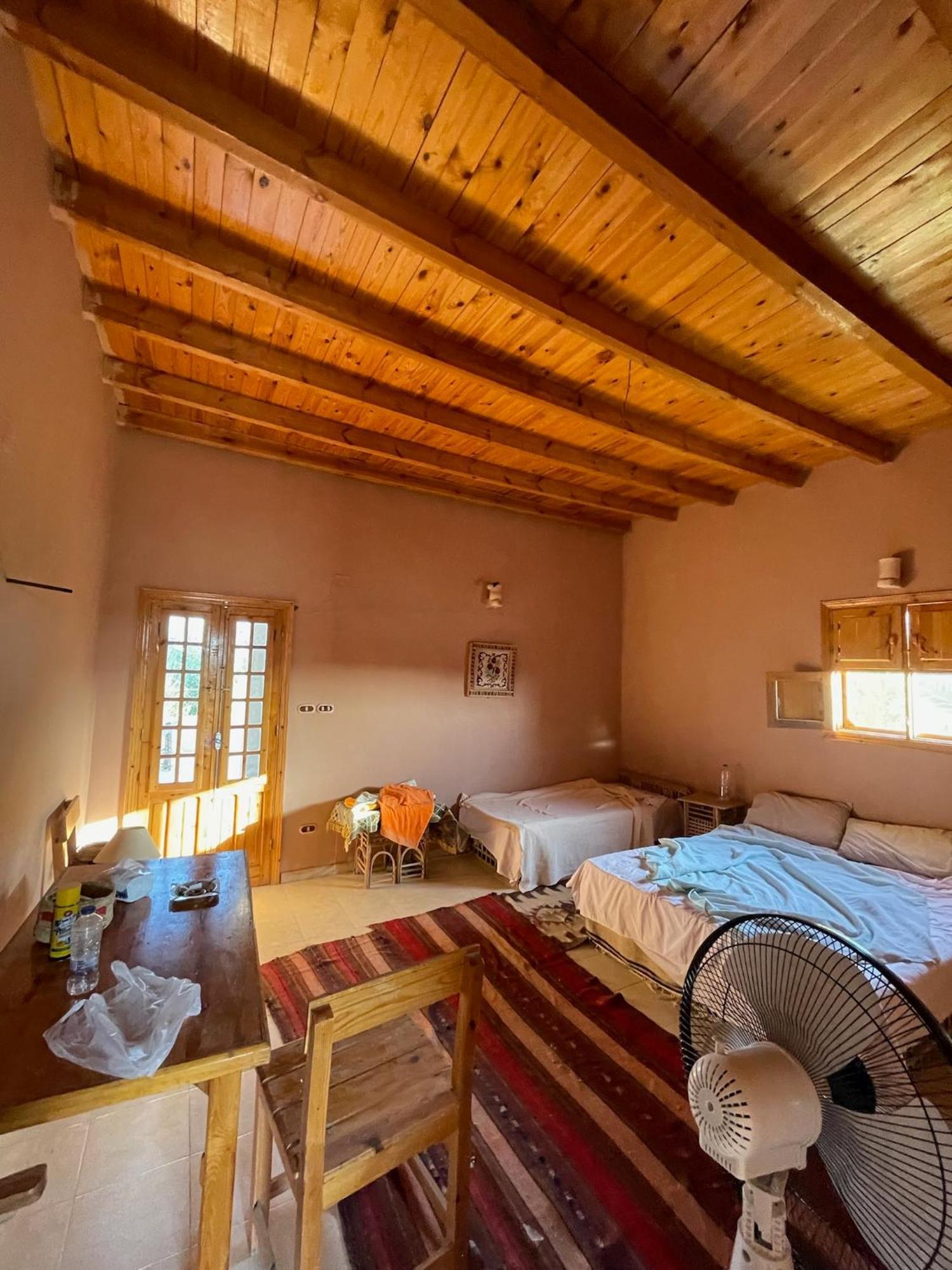 فندق The Nest Siwa Oasis المظهر الخارجي الصورة