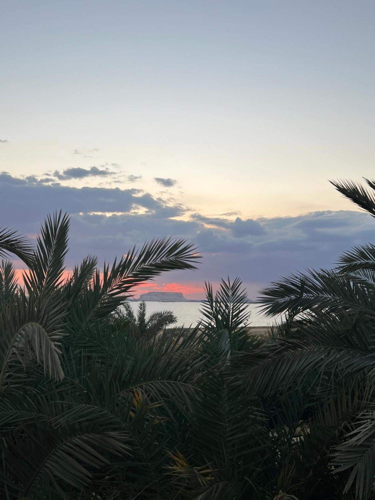 فندق The Nest Siwa Oasis المظهر الخارجي الصورة