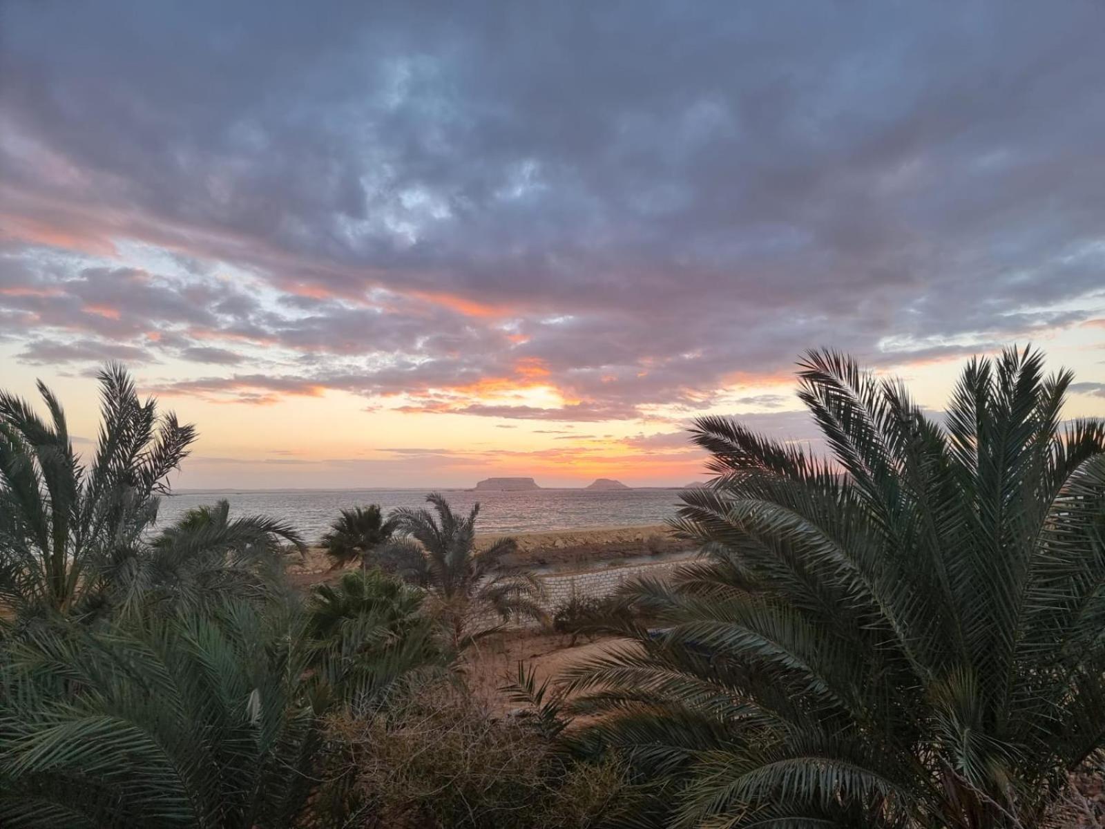 فندق The Nest Siwa Oasis المظهر الخارجي الصورة