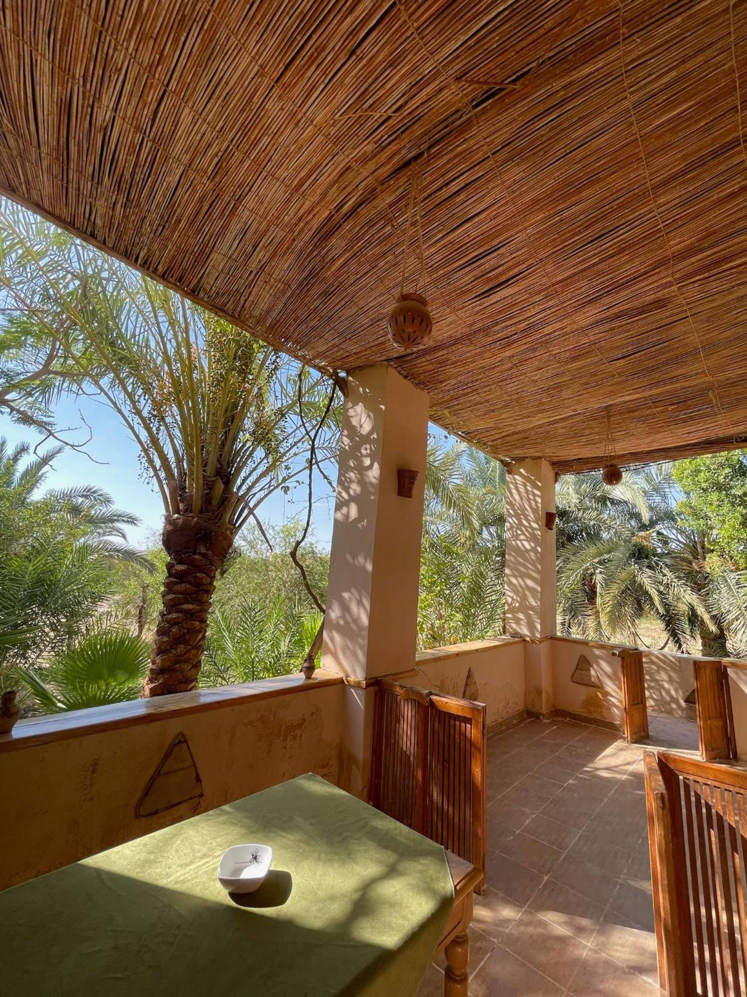 فندق The Nest Siwa Oasis المظهر الخارجي الصورة