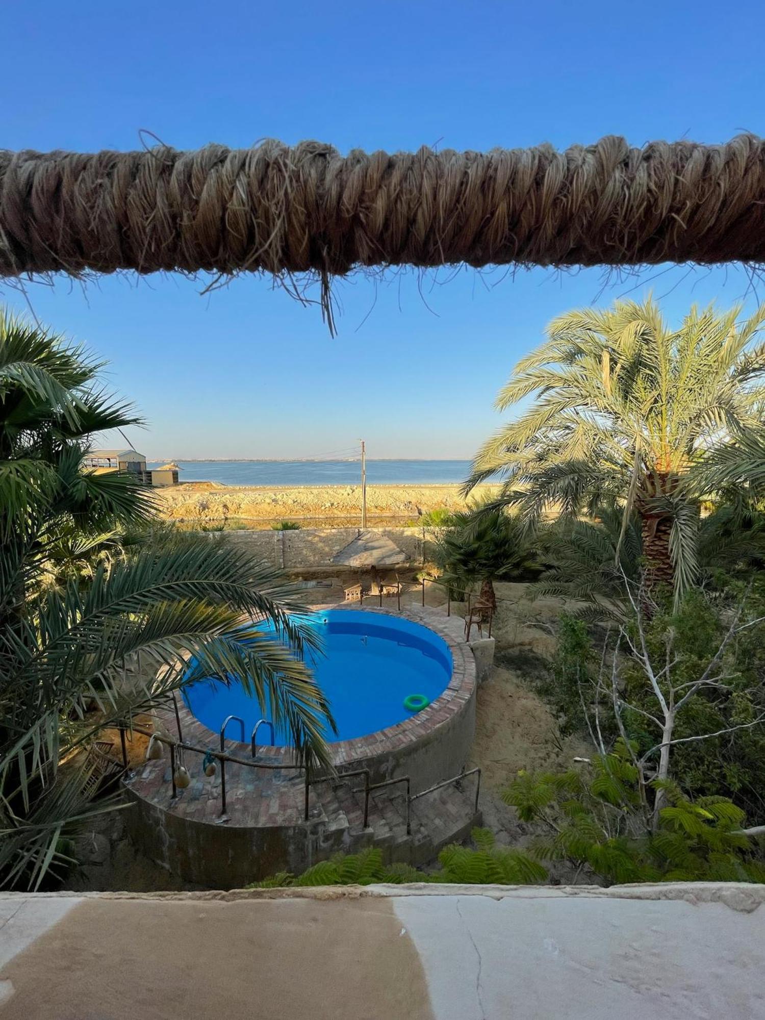 فندق The Nest Siwa Oasis المظهر الخارجي الصورة