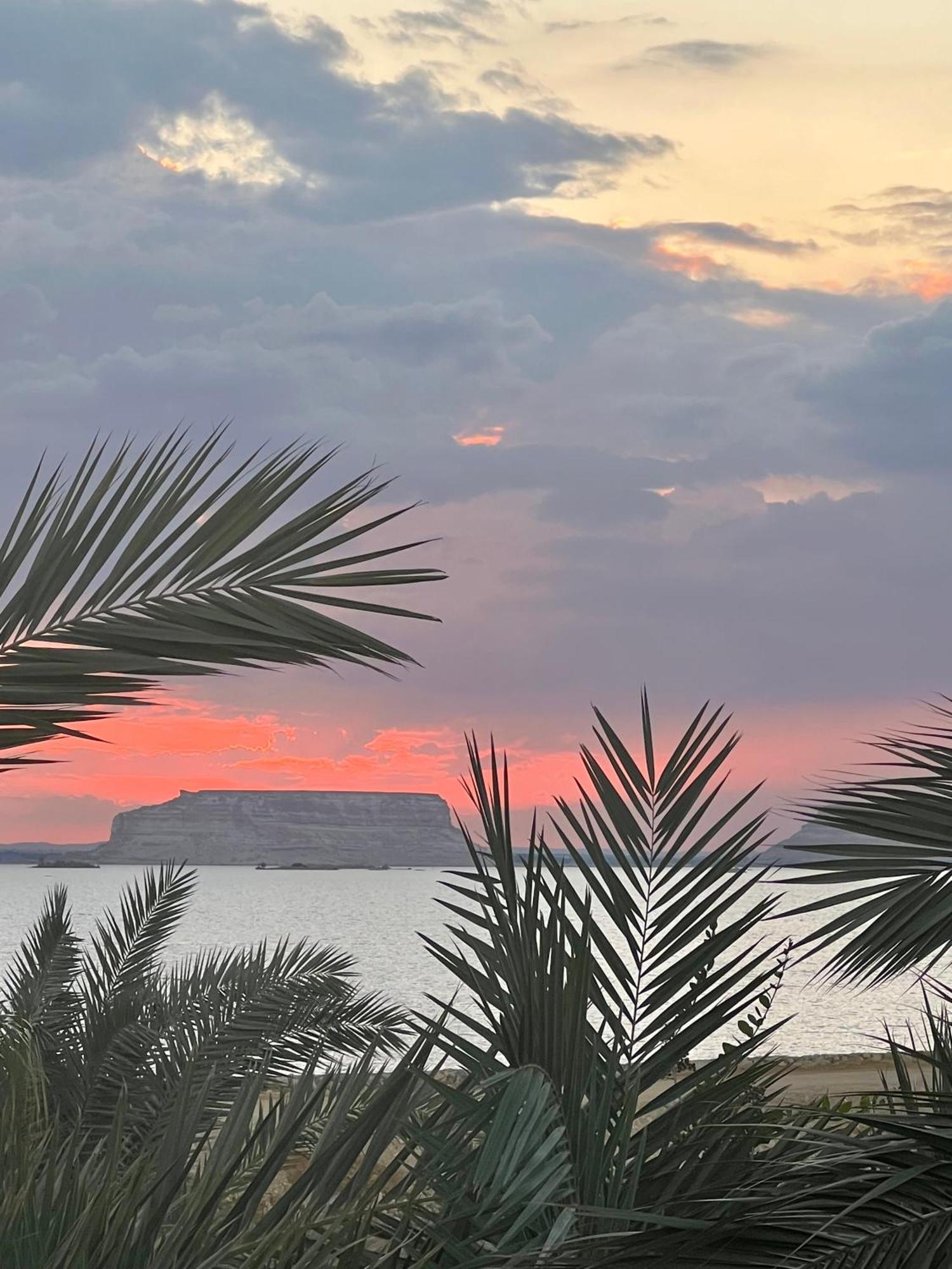 فندق The Nest Siwa Oasis المظهر الخارجي الصورة