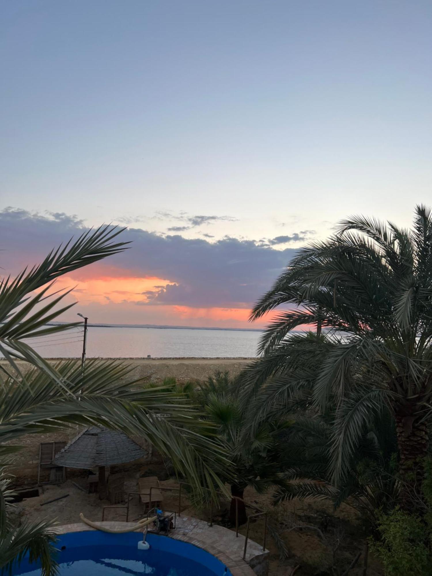 فندق The Nest Siwa Oasis المظهر الخارجي الصورة