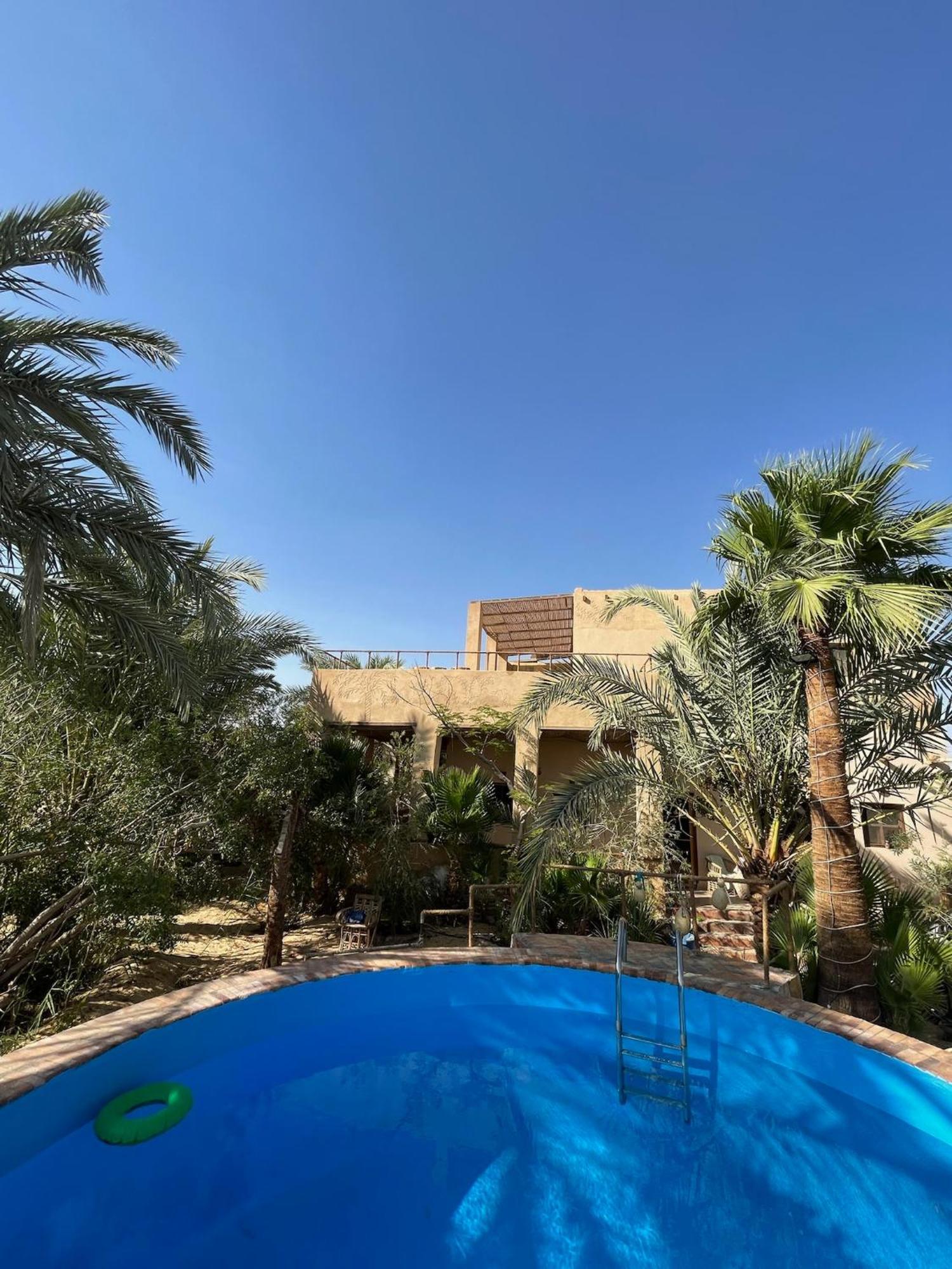 فندق The Nest Siwa Oasis المظهر الخارجي الصورة