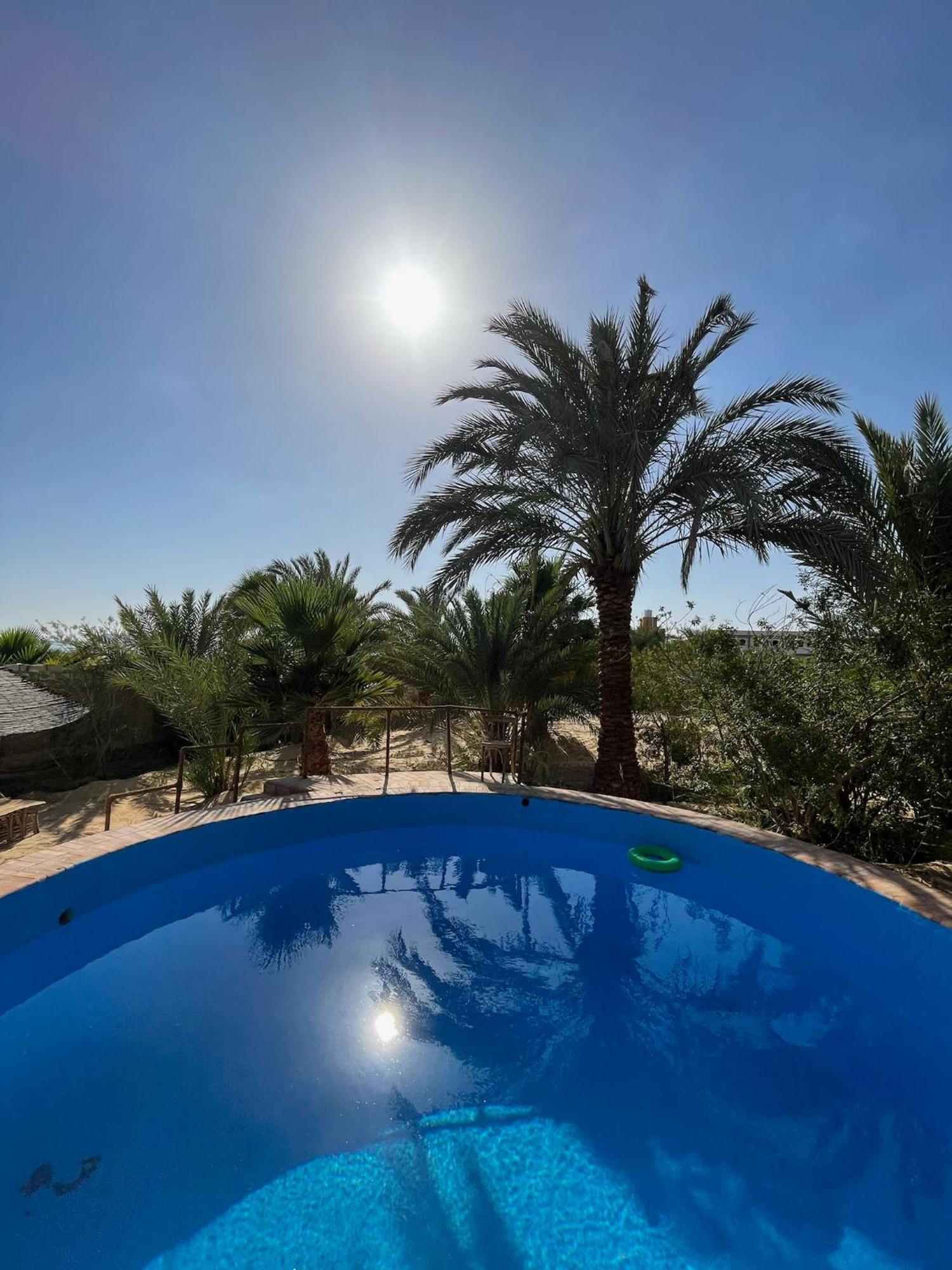 فندق The Nest Siwa Oasis المظهر الخارجي الصورة
