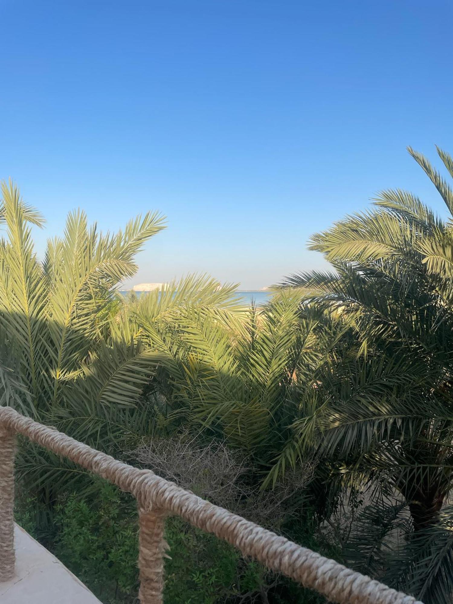 فندق The Nest Siwa Oasis المظهر الخارجي الصورة