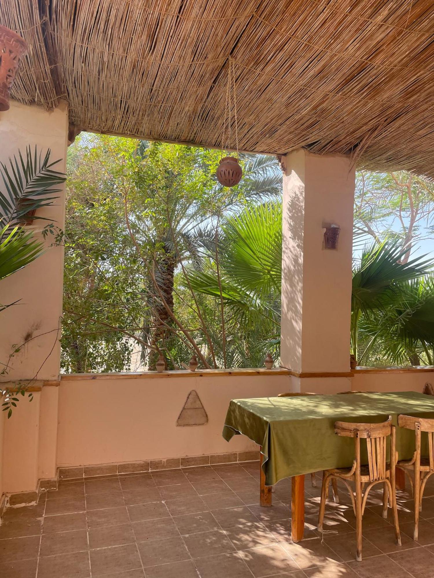 فندق The Nest Siwa Oasis المظهر الخارجي الصورة